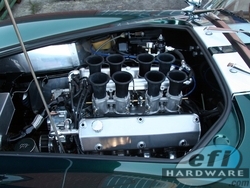 Cobra V8 Stack Injection